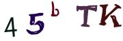 Vaizdinė CAPTCHA užduotis