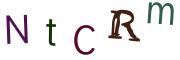 Vaizdinė CAPTCHA užduotis